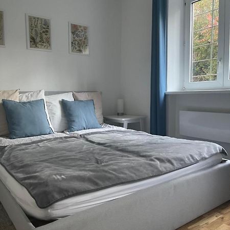 Pasaret Apartman 布达佩斯 外观 照片